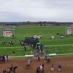 tracter pulling large fence for horses onto dirt track people in purple jackets walk around