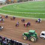 horses tractor and white van on dirt track