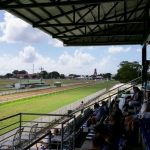 stadium seats overlooking grass track