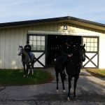 horses being rode out of white stable
