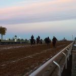 dirt race track with horses